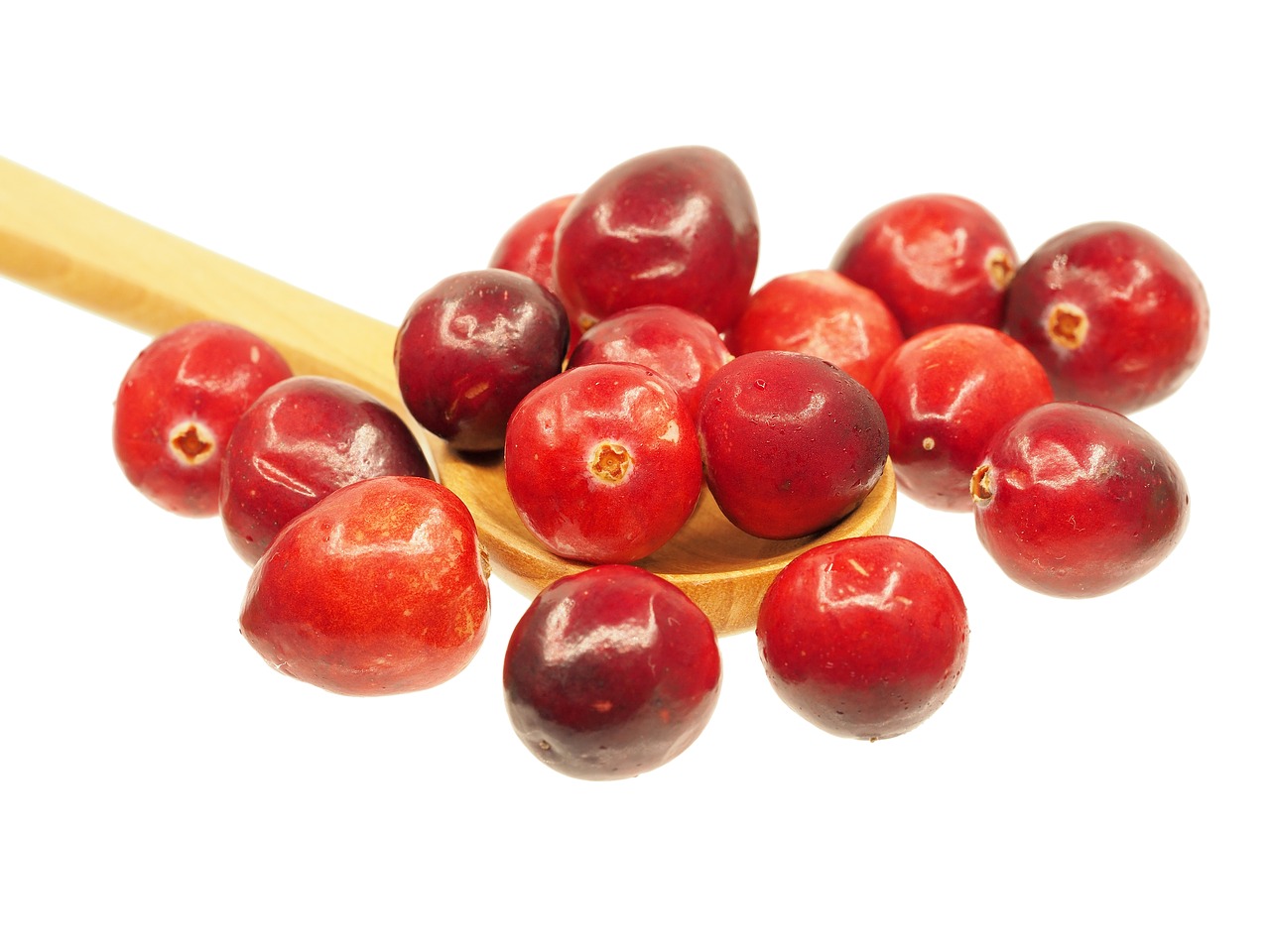 cranberry.jpg